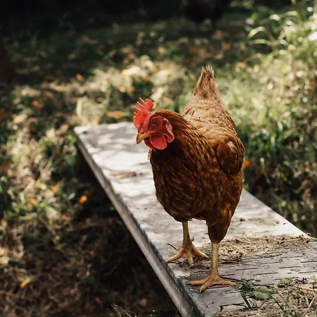 Zero Neuf Bed & Breakfast *